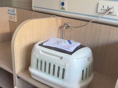 -北京观赏动物医院·24小时大型综合·猫专科·异宠专科