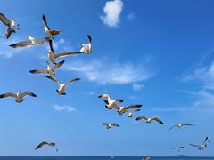 -那香海钻石沙滩浴场