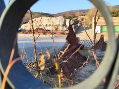 -北京西山国家森林公园