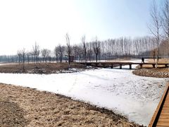 -东郊湿地公园
