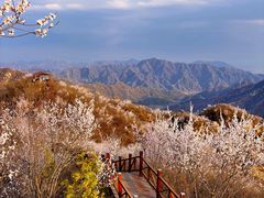 -大岭沟猕猴桃谷风景区