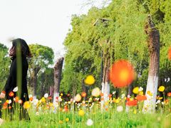 -艾溪湖湿地公园