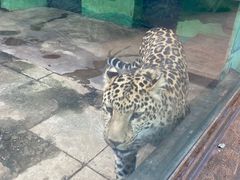 -昆明动物园