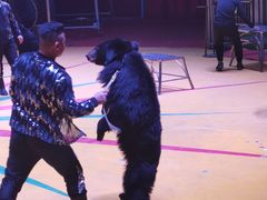 -西安秦岭野生动物园