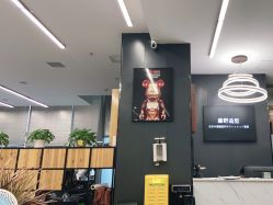 -藤野造型