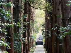 -同里国家湿地公园