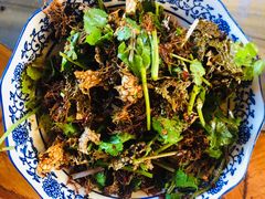 红烧菊黄河豚-鸿运酒楼