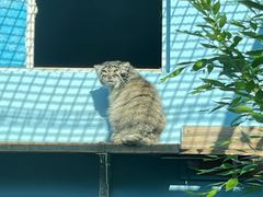 -青藏高原野生动物园