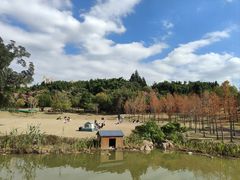 -牛岗山公园