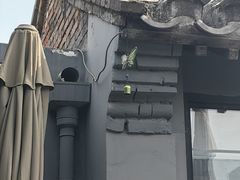 -SUSU·苏苏(四合院创始店)