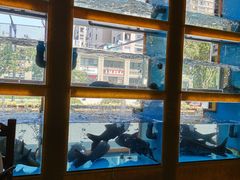 -淳安二十八道·美食汇·淳鱼馆(阳光路店)