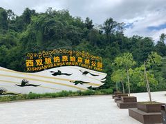 -西双版纳原始森林公园