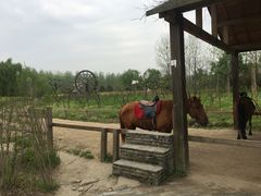 -溱湖国家湿地公园