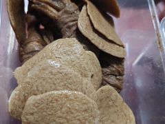 -狗撵鸭(泰山公寓店)