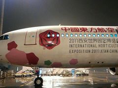 android_upload_pic-东方航空(虹桥路店)