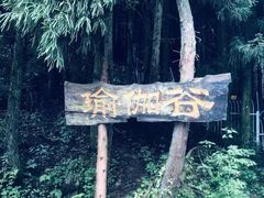 -武陵山森林公园