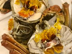 -黄记大闸蟹专卖店·活蟹·醉蟹