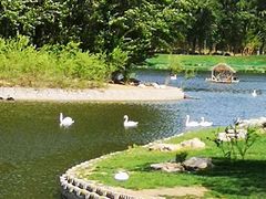 -北京野生动物园