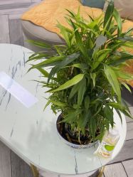 -米娜护肤造型