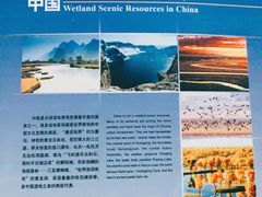-中国湿地博物馆