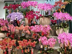 -杭州大厦LSE城市生活超市(杭州大厦店)