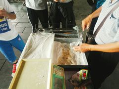 -龙津风雨桥