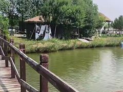 -西青郊野公园