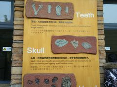 -成都大熊猫繁育研究基地-熊猫厨房