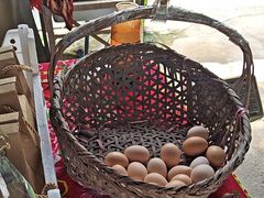 -马陆小张葡萄园农家乐