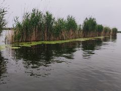 -白洋淀景区