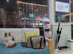 -美迦爱-牙专科·兔科·骨科诊疗中心(北苑店)