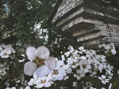 -乌镇景区