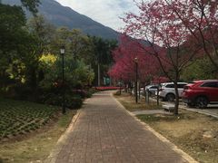 -广州市流溪河国家森林公园