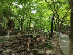 -虞山风景区