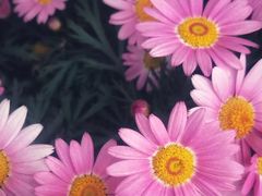 -芜湖方特东方神画