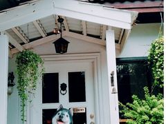 -TrueLove @ Neverland (Husky Cafe)