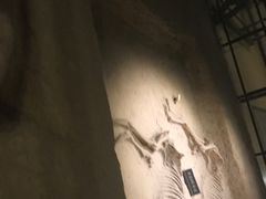 -洛阳周王城天子驾六博物馆