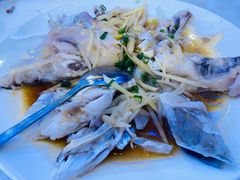 子姜梅子酱蒸鱼头-潮喜竹溪荔湖酒家(荔枝湾店)
