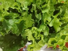 -仓库烤肉(绿园店)