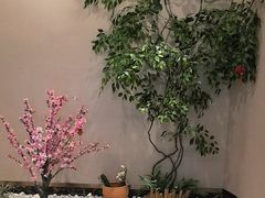 -康乃馨保健中心(第十一分店)