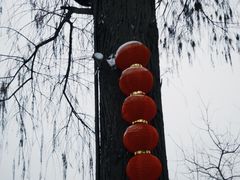 -东湖生态旅游风景区