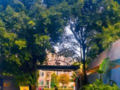 -山地居烤全羊·柴火鸡(大坪-半山公馆店)