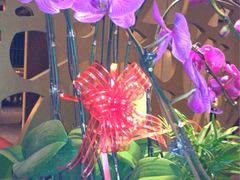 iphone_upload_pic-上海虹桥迎宾馆