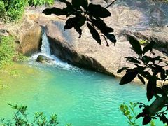 -广州白江湖森林公园