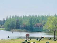 -东平国家森林公园