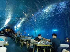 -涛·海底餐厅·美人鱼·自助餐·海底隧道(三亚海棠湾洲际度假酒店)