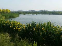 -永定河休闲森林公园