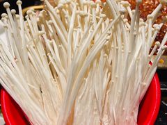 金针菇-潮火锅·麻辣牛肉火锅(观音桥方圆·LIVE店)