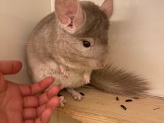 -龙猫仔乐园(惠福东路店)