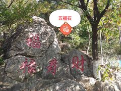 -石老人观光园